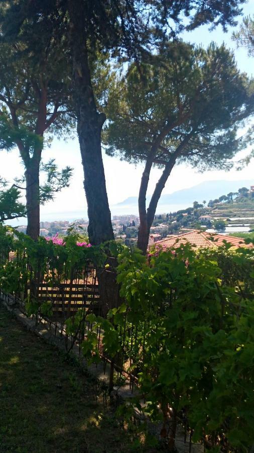 ボルディゲーラ Le Gardenie Da Fil Bed & Breakfast エクステリア 写真